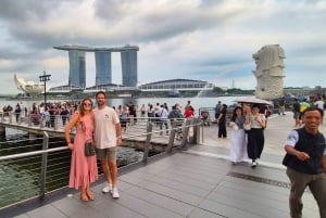 Singapore: wandeltour door Chinatown, Civic District en Marina Bay