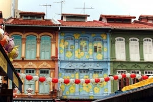 Singapore: Chinatown Cultural Feast Tour