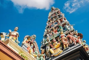 Singapore: Tour a piedi dei tesori nascosti di Chinatown con spuntino