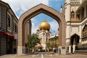 3 uur Chinatown, Little India, Arab Street Spaanse wandeltour