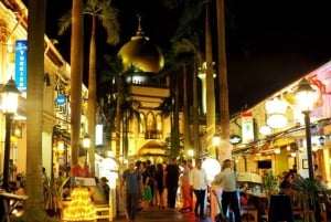 Singapore Christmas Soirée Tour with Dinner (Hotel Transfer)