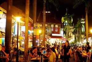 Singapore Christmas Soirée Tour with Dinner (Hotel Transfer)