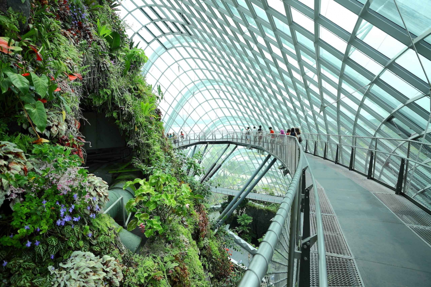 Singapore City: Gardens by the Bay and S.E.A. Aquarium