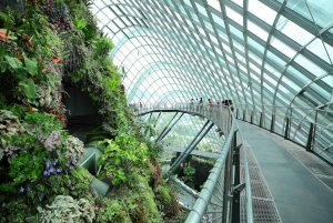 Singapore City: Gardens by the Bay and S.E.A. Aquarium