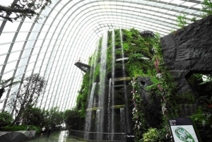 Singapore City: Gardens by the Bay and S.E.A. Aquarium