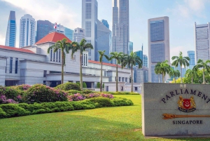 Singapur: Wycieczka piesza po mieście i rzeka Singapur