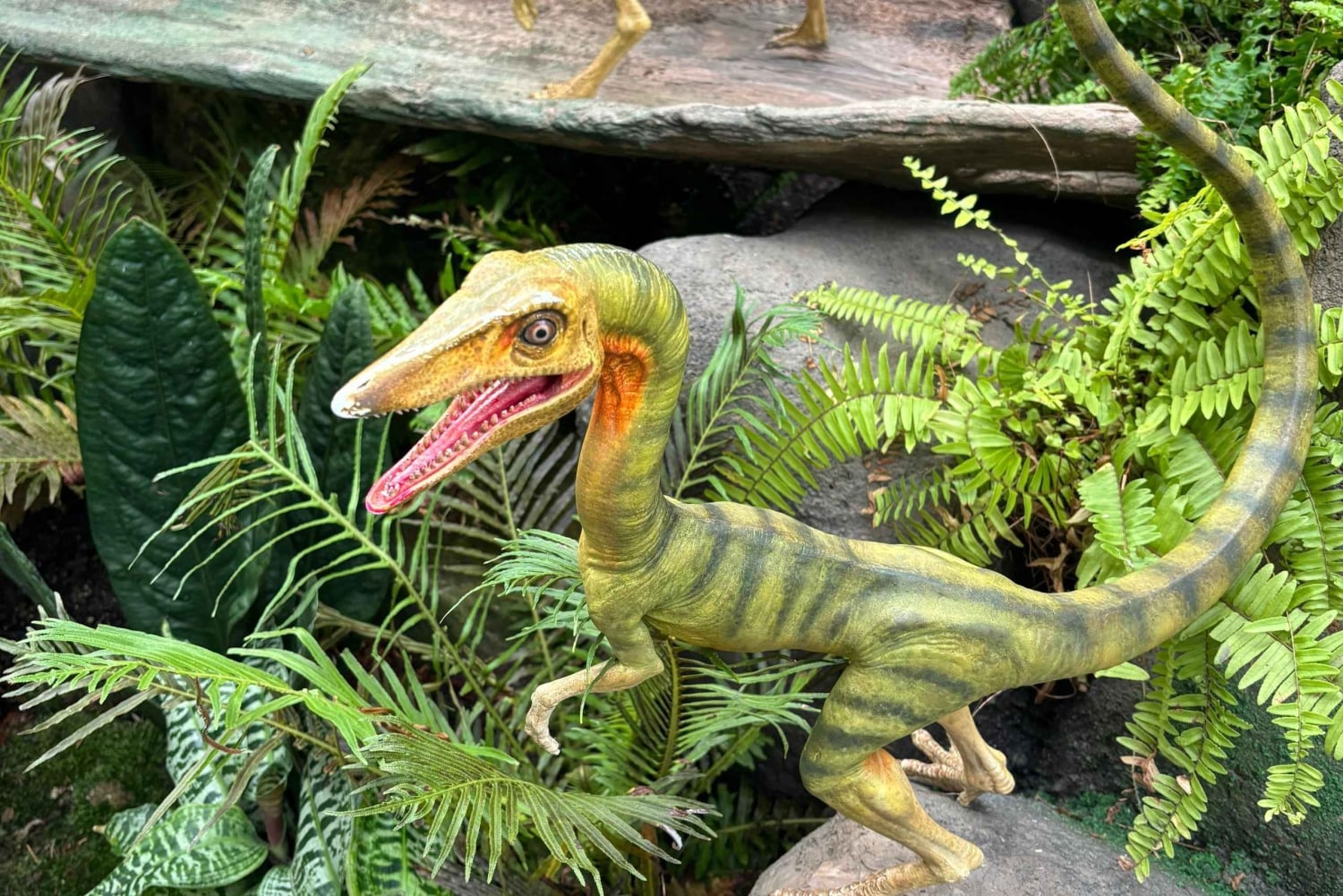 シンガポール：シティツアー & ガーデンズ・バイ・ザ・ベイのジュラシック・ワールド