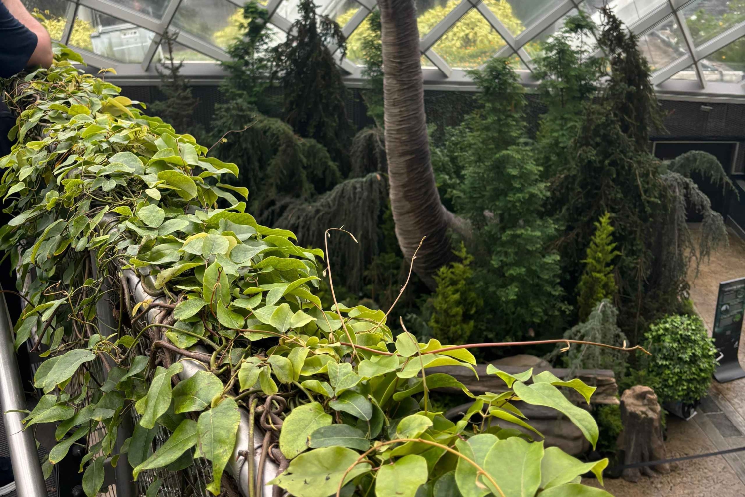 シンガポール：シティツアー & ガーデンズ・バイ・ザ・ベイのジュラシック・ワールド