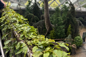 シンガポール：シティツアー & ガーデンズ・バイ・ザ・ベイのジュラシック・ワールド