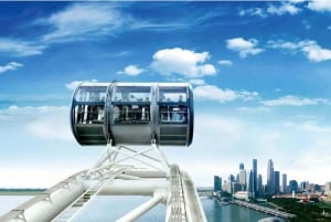 Singapore: Gedeelde stadsrondleiding met een busje