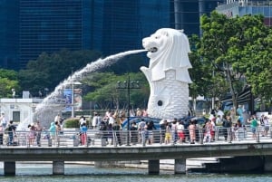 Singapore: tour guidato del quartiere civico