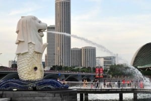 Singapore: tour guidato del quartiere civico