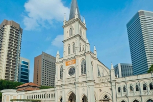 Singapore: tour guidato del quartiere civico