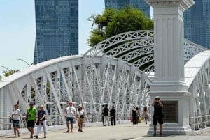 Singapore: tour guidato del quartiere civico