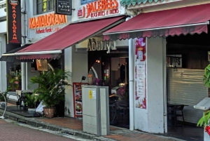 Singapore: tour guidato del quartiere civico