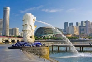Singapore: Cruise Terminal to City Private Transfer