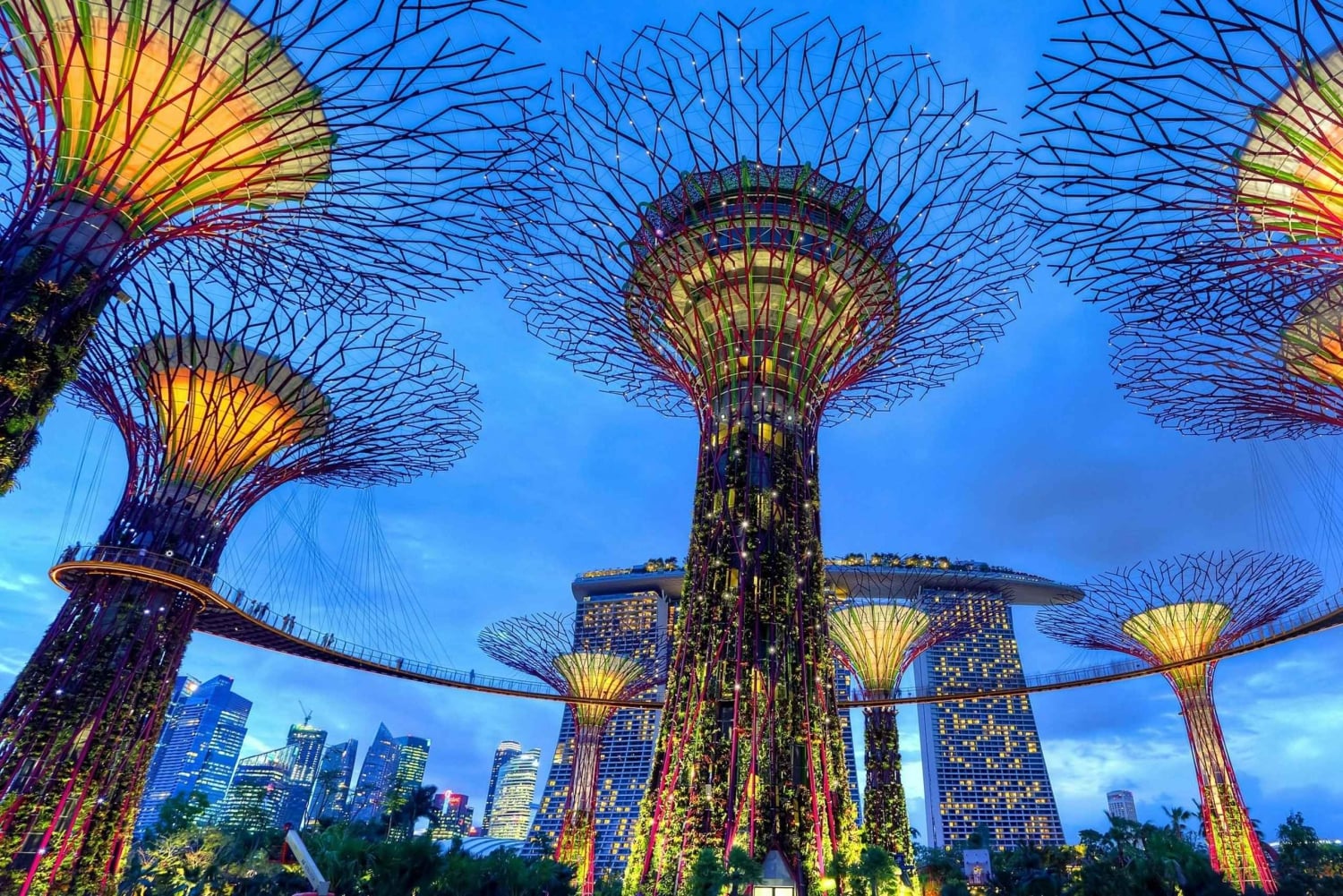 シンガポール：セントーサ島、ガーデンズ・バイ・ザ・ベイの日帰りツアー、フライヤー