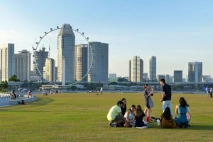 Singapore: Day Tour for Sentosa, Gardens by the Bay, Flyer