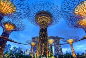 Singapore: Day Tour for Sentosa, Gardens by the Bay, Flyer