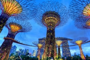 シンガポール：セントーサ島、ガーデンズ・バイ・ザ・ベイの日帰りツアー、フライヤー