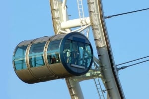 シンガポール：セントーサ島、ガーデンズ・バイ・ザ・ベイの日帰りツアー、フライヤー