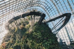 シンガポール：セントーサ島、ガーデンズ・バイ・ザ・ベイの日帰りツアー、フライヤー