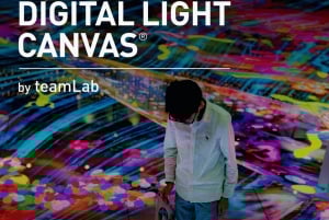 Tela di luce digitale di teamLab a Marina Bay Sands