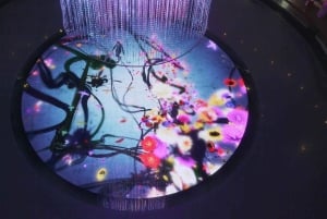 Tela di luce digitale di teamLab a Marina Bay Sands