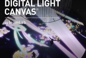 Tela di luce digitale di teamLab a Marina Bay Sands