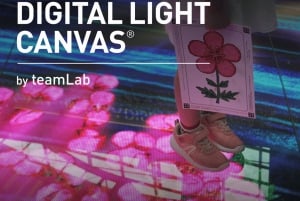Tela di luce digitale di teamLab a Marina Bay Sands
