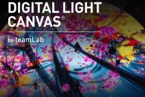 Tela di luce digitale di teamLab a Marina Bay Sands