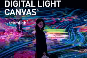 Tela di luce digitale di teamLab a Marina Bay Sands