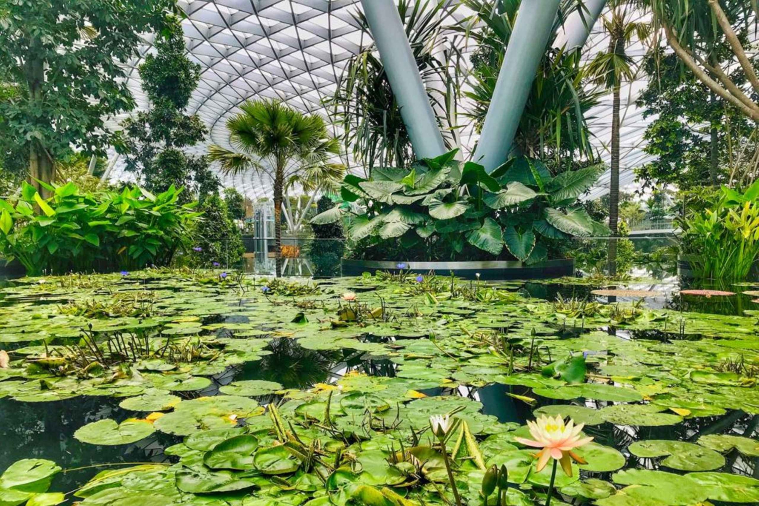 Singapur: Descubre la joya de Changi Tour guiado