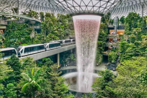 Singapur: Descubre la joya de Changi Tour guiado