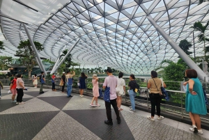 Singapur: Descubre la joya de Changi Tour guiado