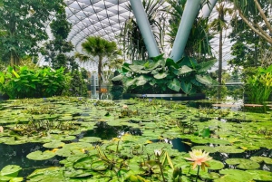 Singapur: Descubre la joya de Changi Tour guiado