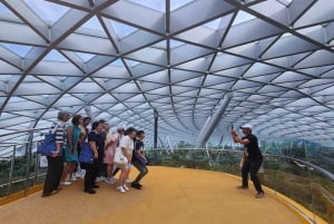 Singapur: Descubre la joya de Changi Tour guiado