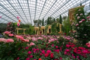 Singapore: Disney Garden of Wonder at Floral Fantasy