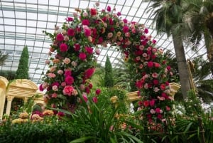 Singapore: Disney Garden of Wonder at Floral Fantasy