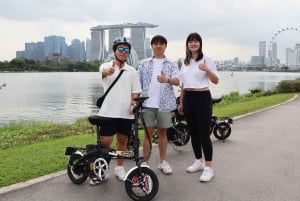 Singapore: Upplevelse med elektrisk cykel (hyra och rundtur)