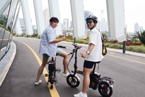 Singapore: Upplevelse med elektrisk cykel (hyra och rundtur)