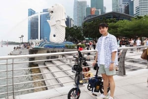 Singapore: Electric Bicycle Experience (Rental and Tour)