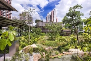 Singapur: Enabling Village Guided Tour von Menschen mit Behinderung mit Getränken