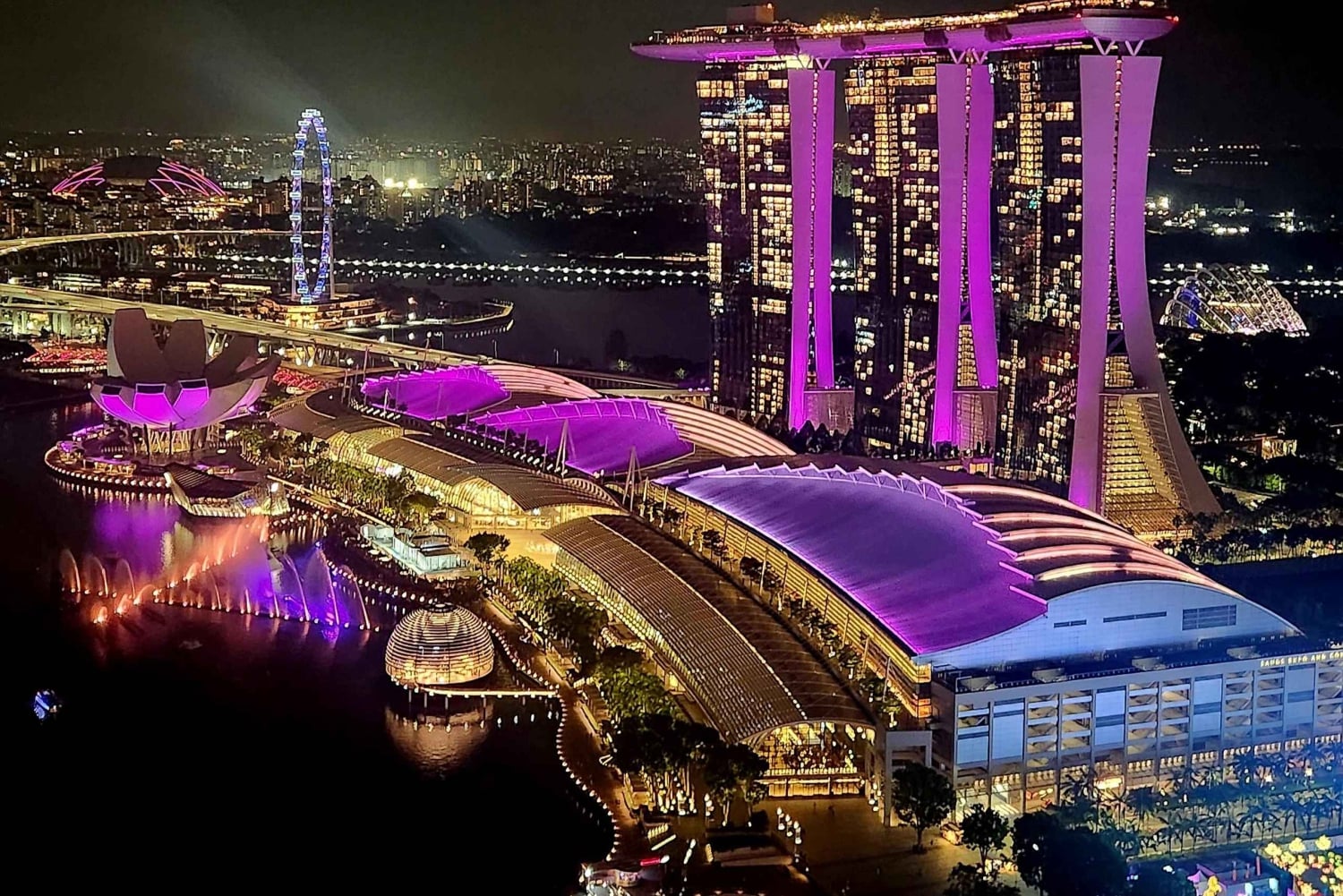 Lo esencial de Singapur: tour privado de 4 horas