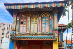 Lo esencial de Singapur: tour privado de 4 horas