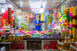 Lo esencial de Singapur: tour privado de 4 horas