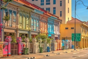 Singapore: Explore The City at Your Own Pace (Hourly)