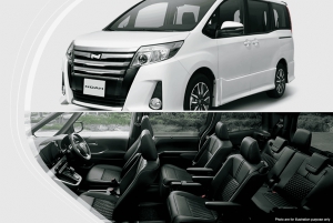 Singapore: esplora la città al tuo ritmo (tariffa oraria)