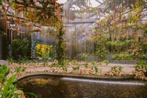 Singapore: Explorer Pass Risparmia fino al 50% su 2-7 attrazioni
