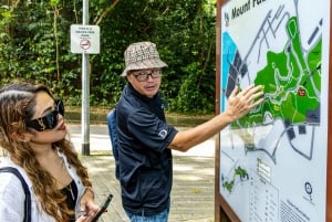 Singapore: Faber Peak Guided Walking Tour with Breakfast